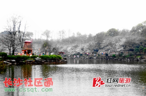 ph(yun)}Dѻʢ_(ki)r(sh)(ji)ĺʡɭֲ@Ҧұ z